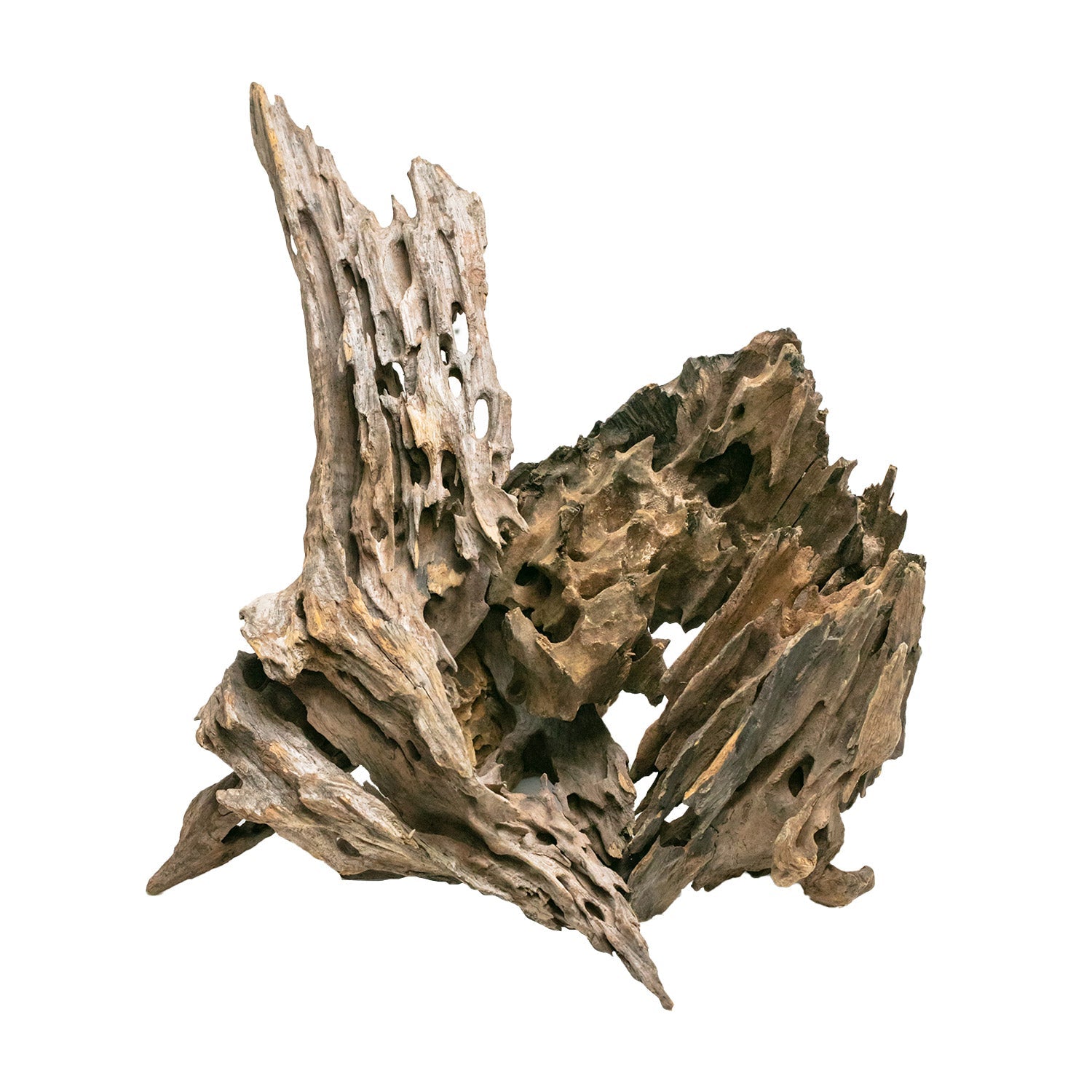 AQPet Zen Wood Dragon Wood