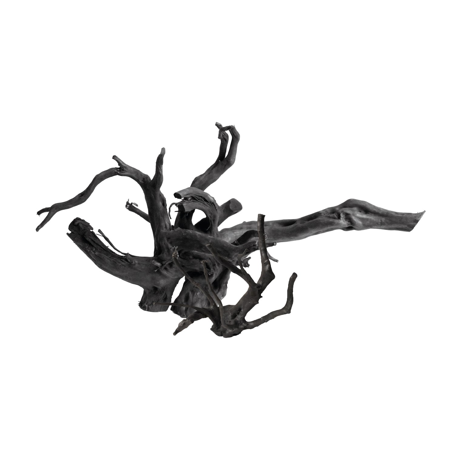 AQPet Zen Wood Amazon Black Forest