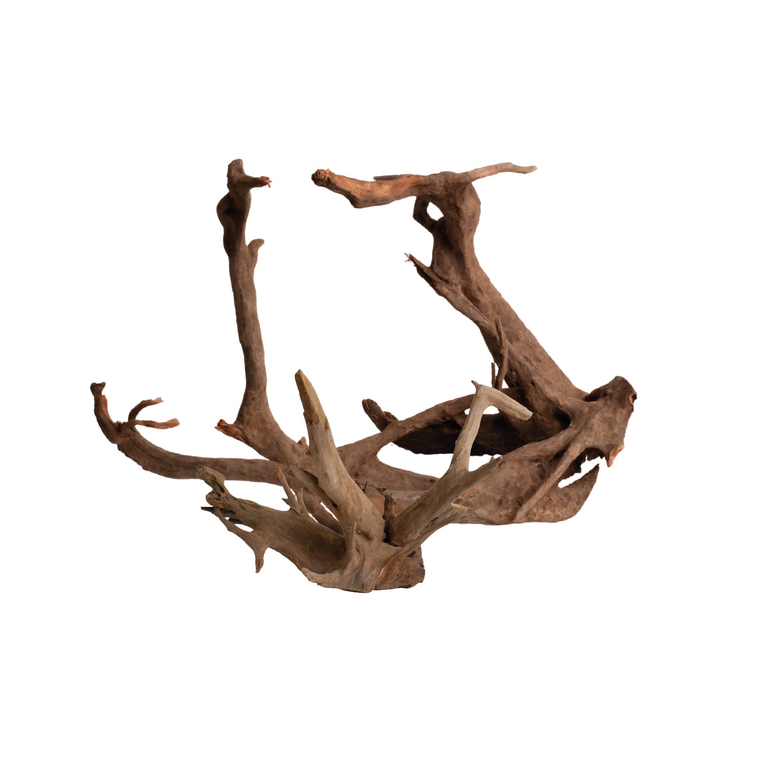 AQPet Zen Wood Forest Drift Wood
