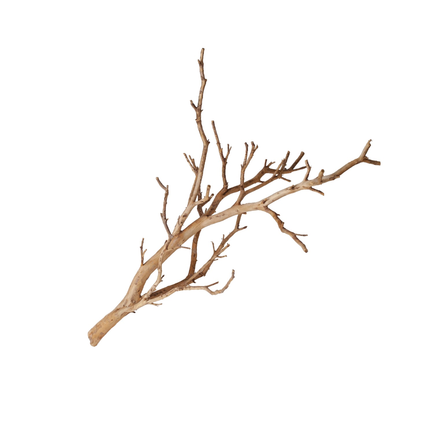 AQPet Zen Wood Amazon Manzanita 50-90 Cm Taglia Xl