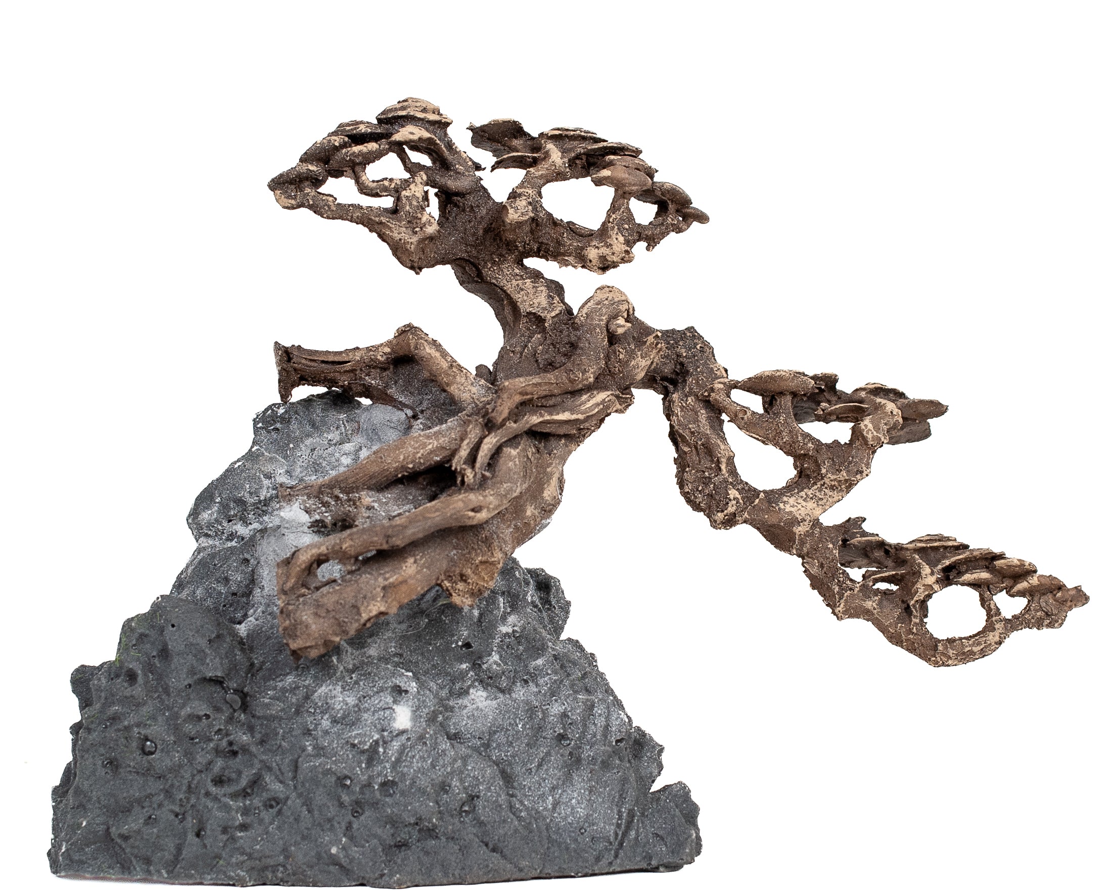 AQPet Zen Bonsai In Resina 11 - 22 X 11 X 15 Cm