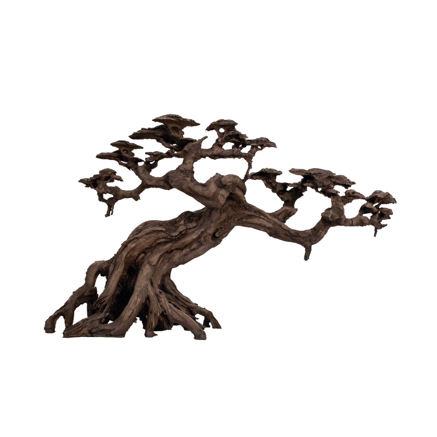 AQPet Zen Bonsai In Resina 14 - 56 X 15 X 34 Cm