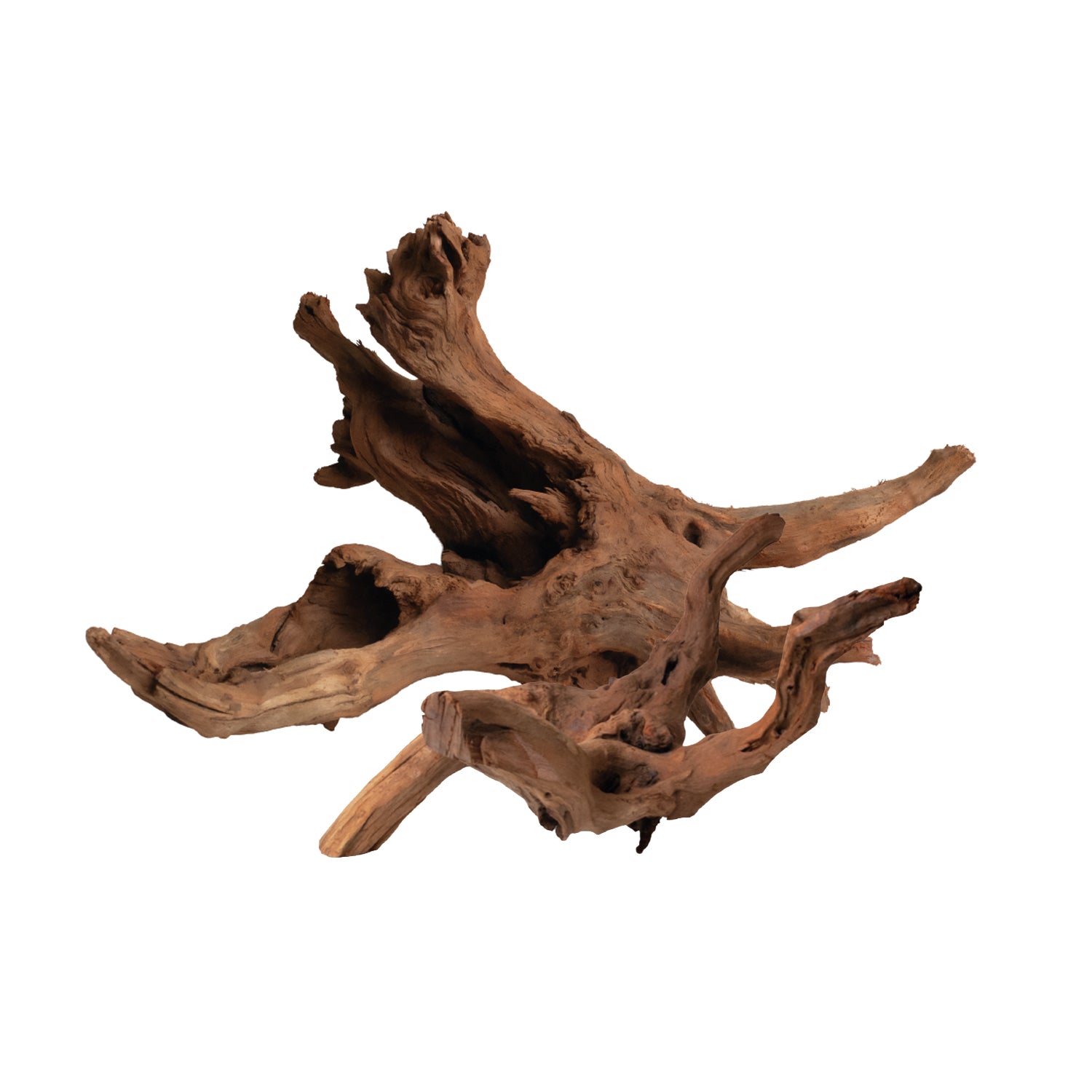 AQPet Zen Teak Wood Drift