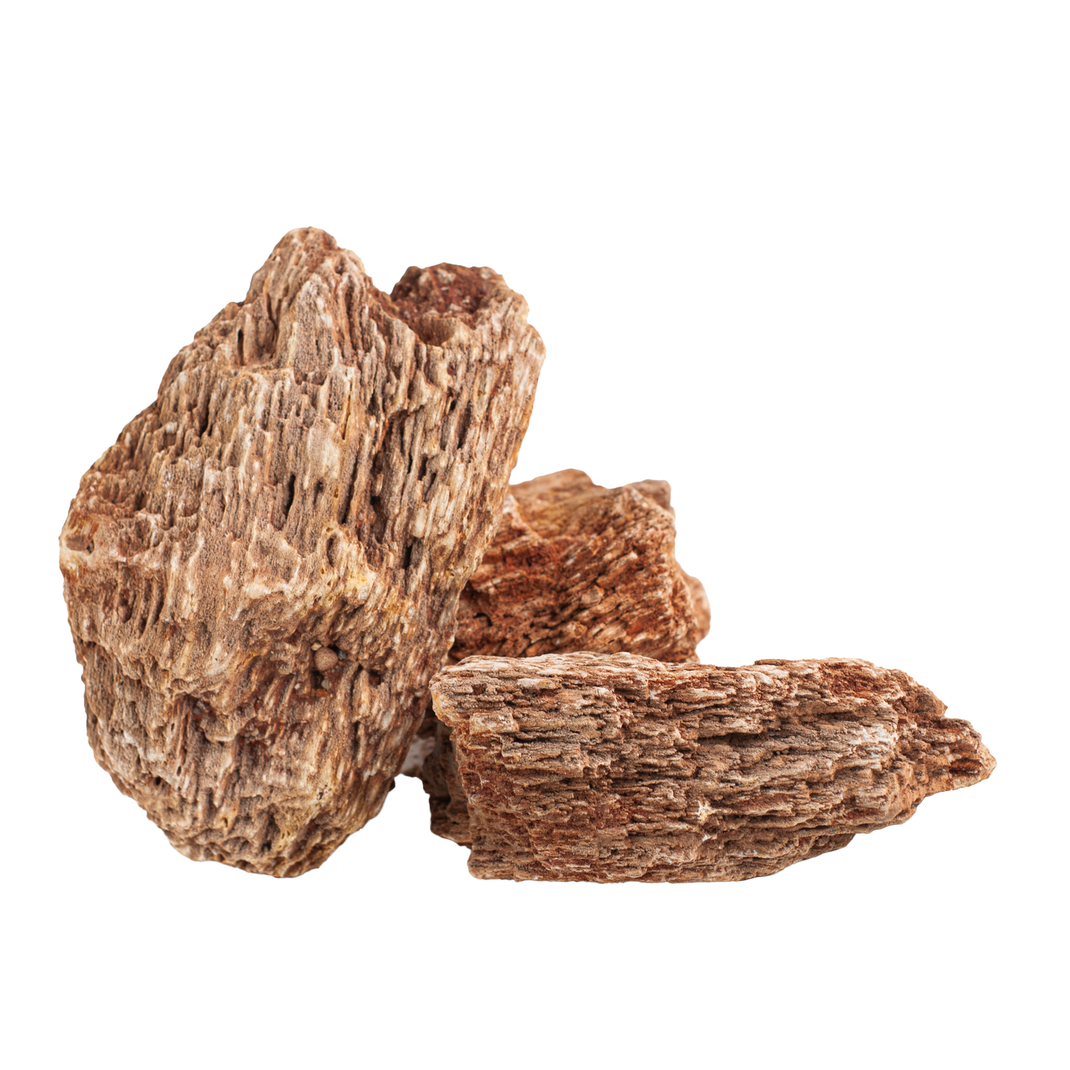 AQPet Zen Stone Rocce Red Wood Fossil