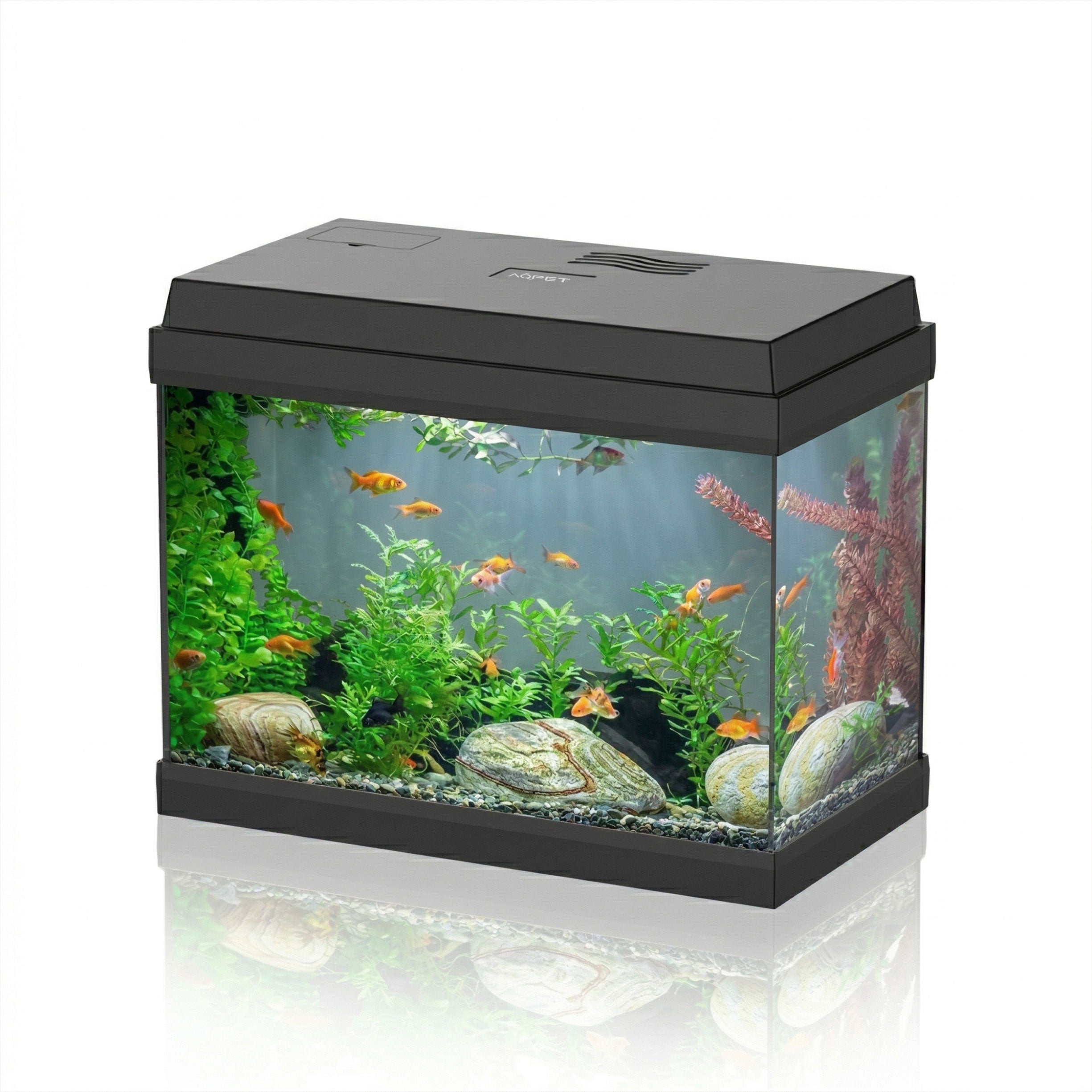 AQPet Simply Led Acquario Completo
