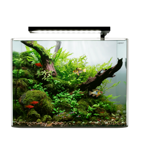 AQPet Acquario Veo