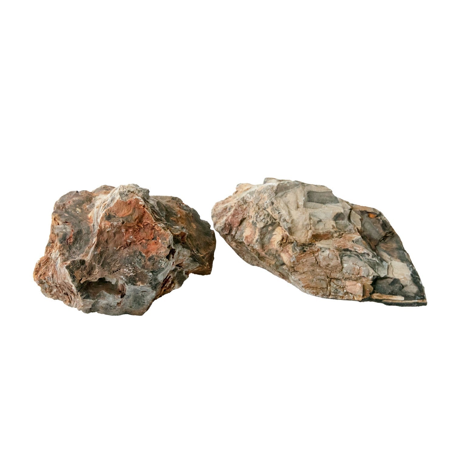 AQPet Zen Stone Rocce Wood Fossil